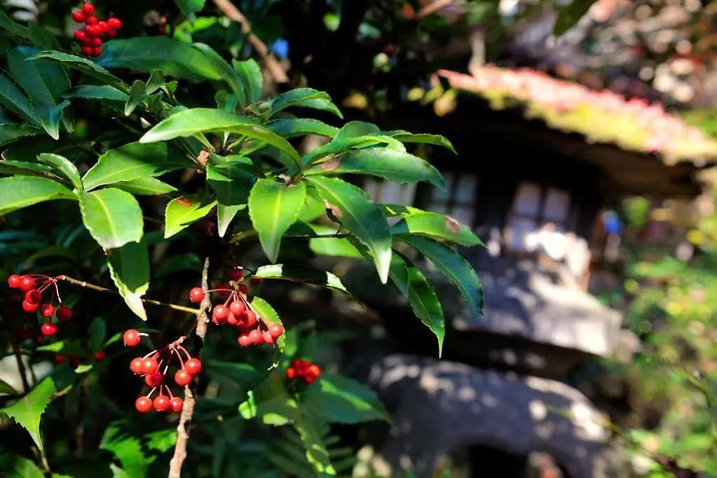 Heihachi Tea House Inn Kyoto Ryokan